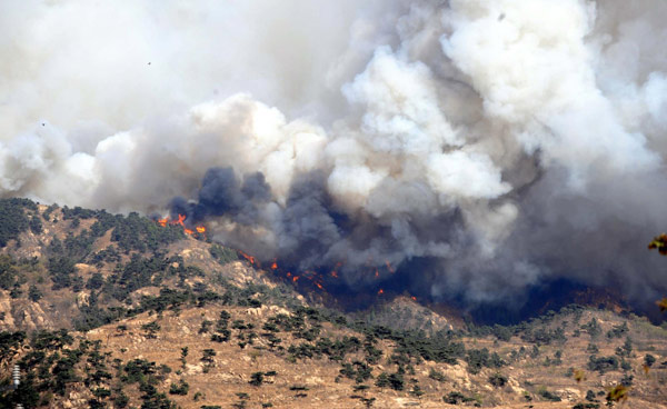 Mountain fire breaks out in E China