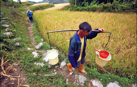 A bitter harvest