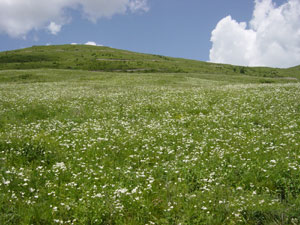 Chicheng county: Beijing's backyard