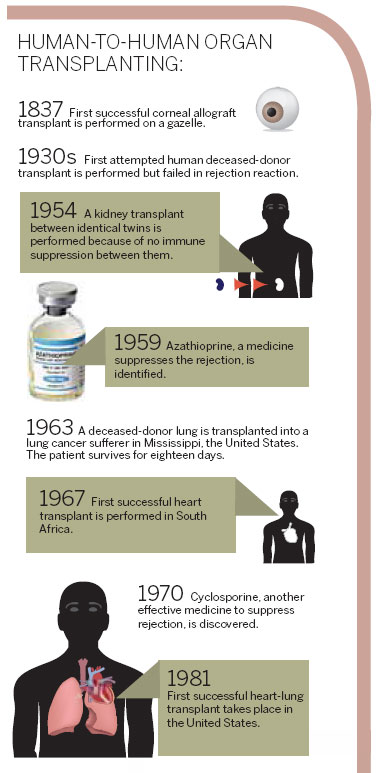 Organ transplants - to donate or not