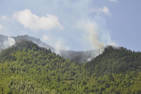 Militia soldiers control forest fire in Hunan