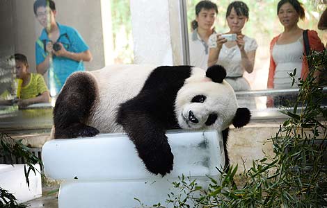 Summer heat wave continues in S China