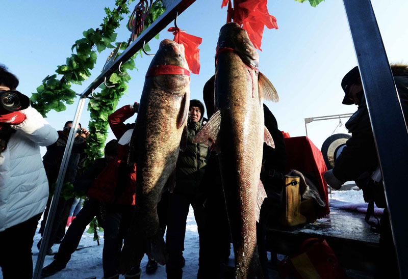 Ancient fishing ritual held on frozen river