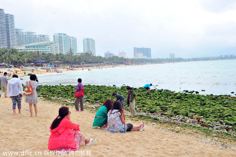 Algae scares tourists away from Sanya beach