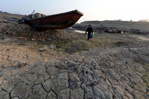 Algae scares tourists away from Sanya beach