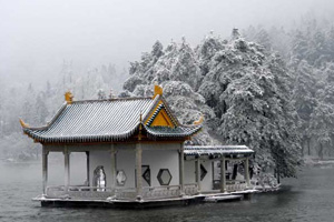 Cherry blossoms give Shanghai early taste of spring