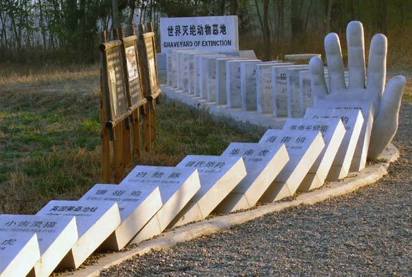 Animals honored in simulated cemetery