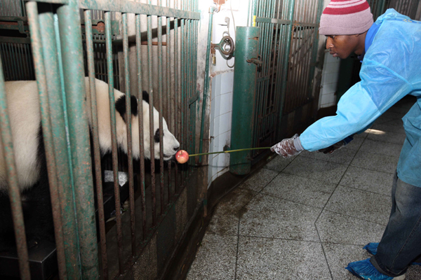 Overseas interns build careers with roots in China