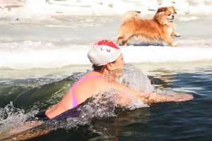 Swimmers take an icy dip in NE China