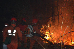 SW China forest fire extinguished