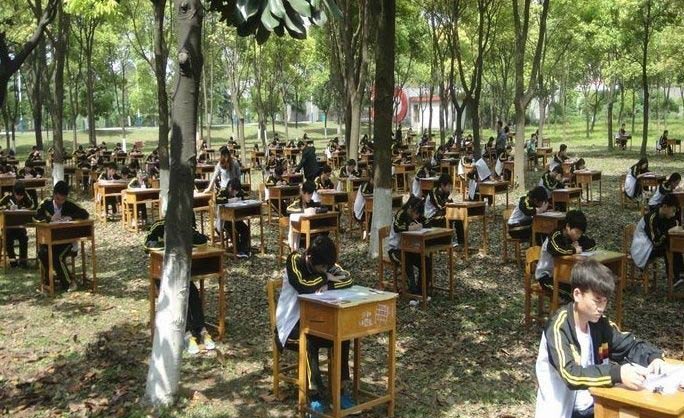 Exams held in woods to prevent cheating