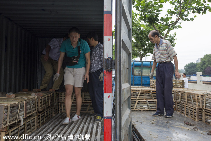 Animal rights activists intercept truck carrying 350 cats