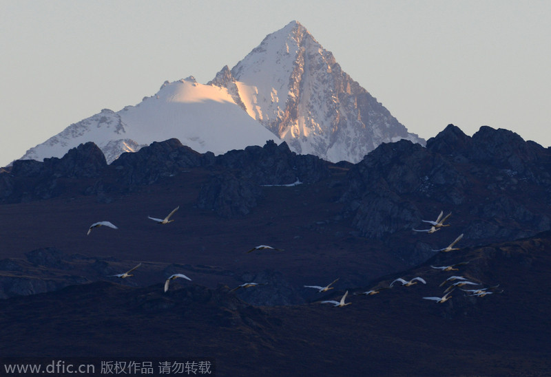 Wild paradise in Xinjiang