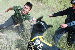 Hero police dog buried in Wuhan