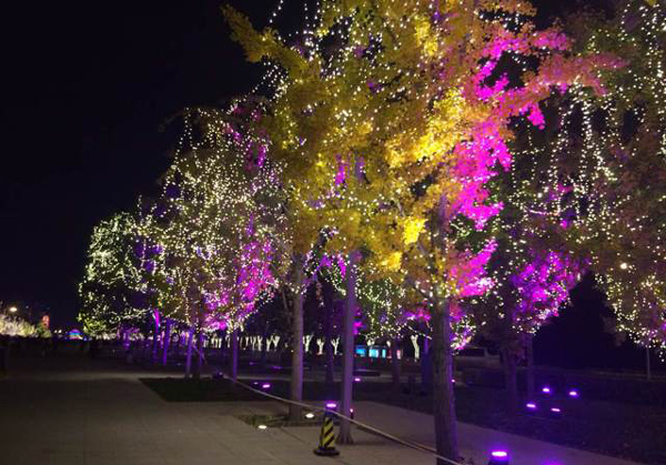 Beijing Olympic Park lights up for 2014 APEC