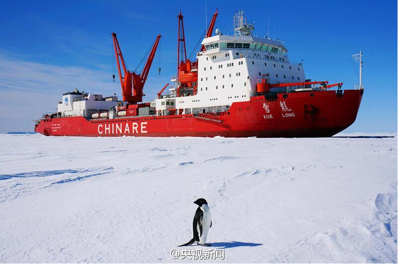 Penguins attracted to Chinese icebreaker <EM>Xuelong</EM>