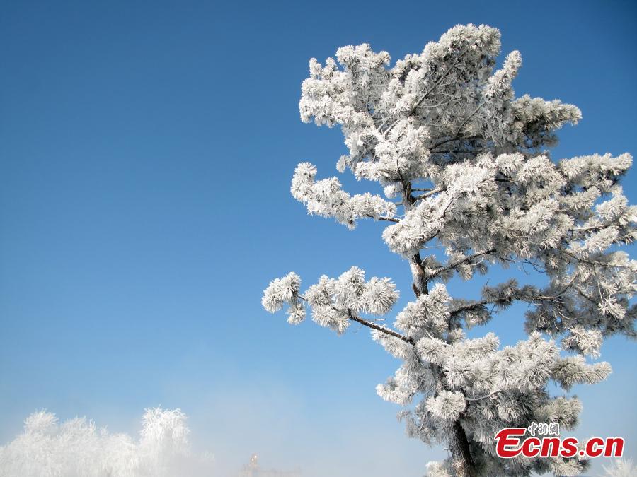 Later arrival of rime still an attraction in Jilin