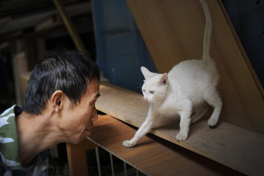 A migrant worker and his little friends