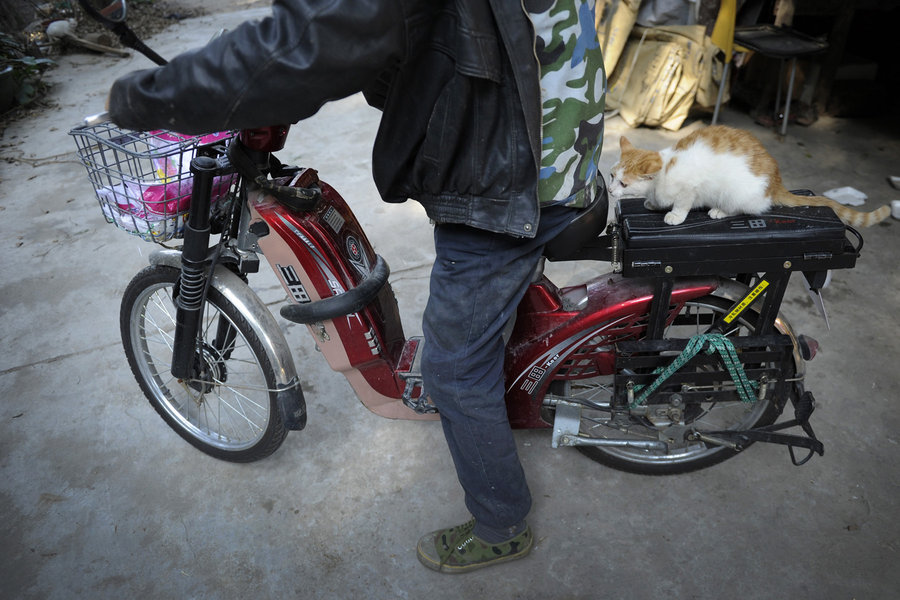 A migrant worker and his little friends