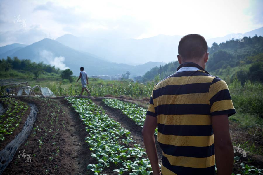 Young men farm for the future