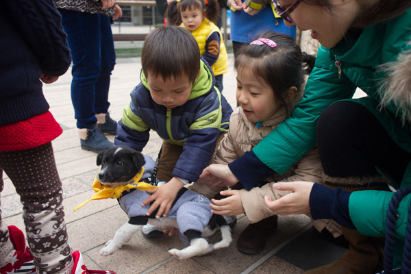 Man's best friends find new homes