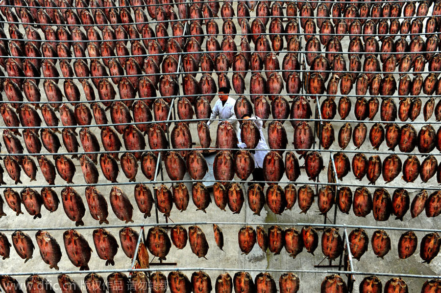 The ancient practice of preserving and drying food