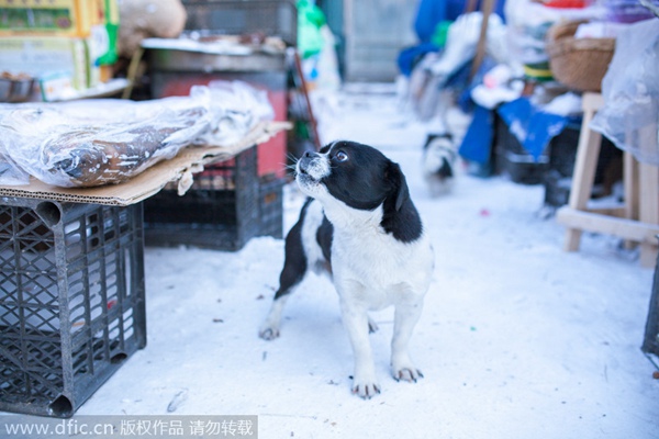 China's easternmost fish market