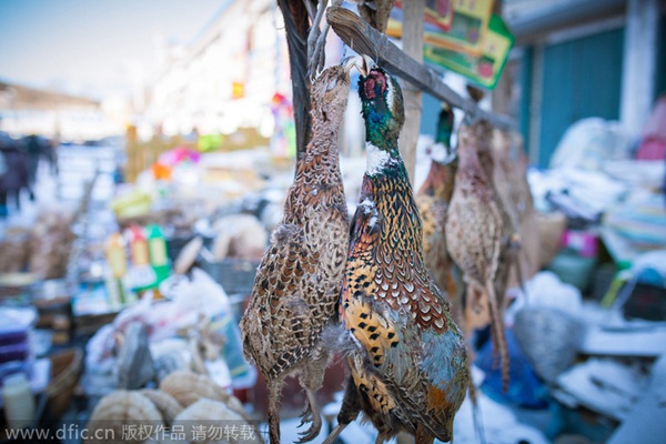 China's easternmost fish market