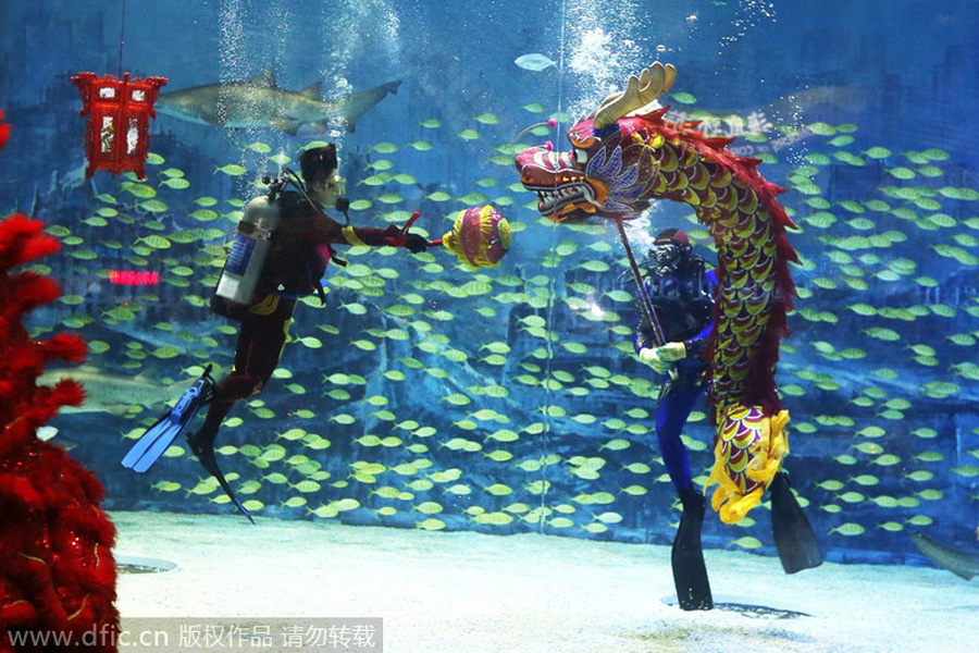 Divers perform 'dragon dance'with sharks