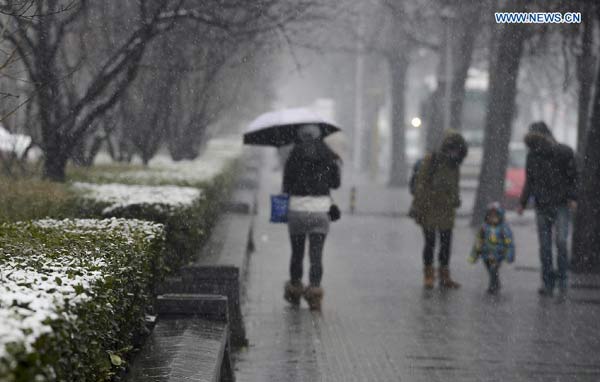 Snow, fog disrupt traffic in northern China