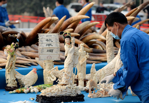 China pledges zero-tolerance stance on illegal ivory