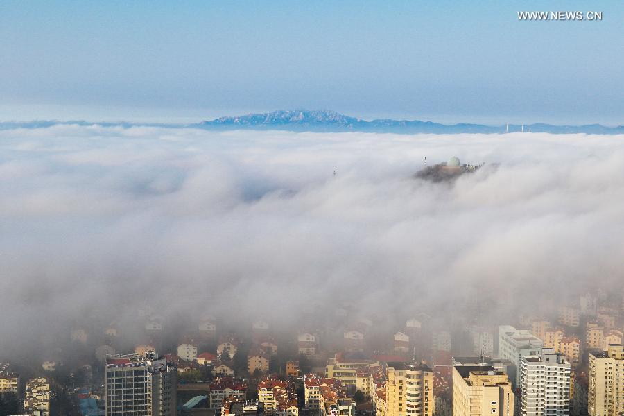 Buildings covered by fog in China's Qingdao