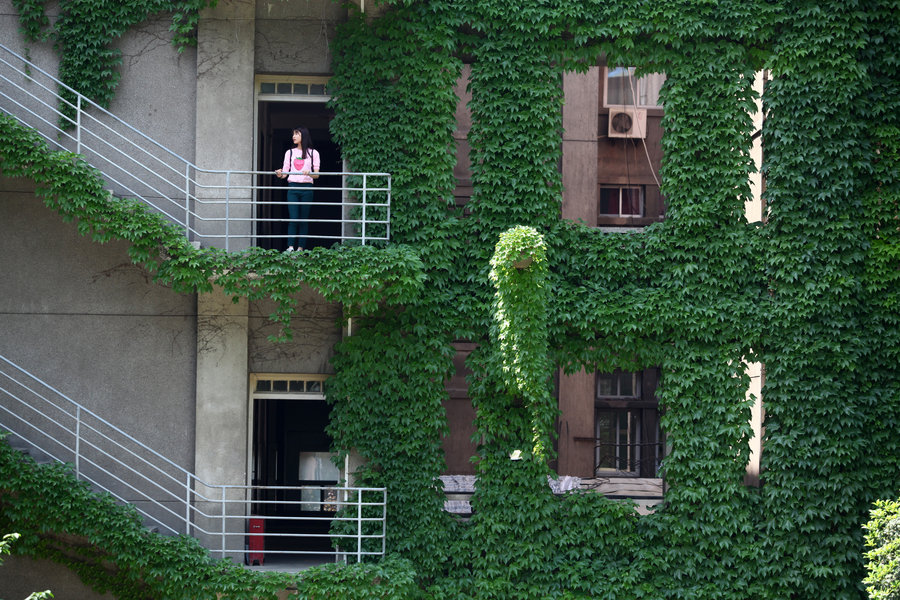 Ivy offers cool cover from summer heat