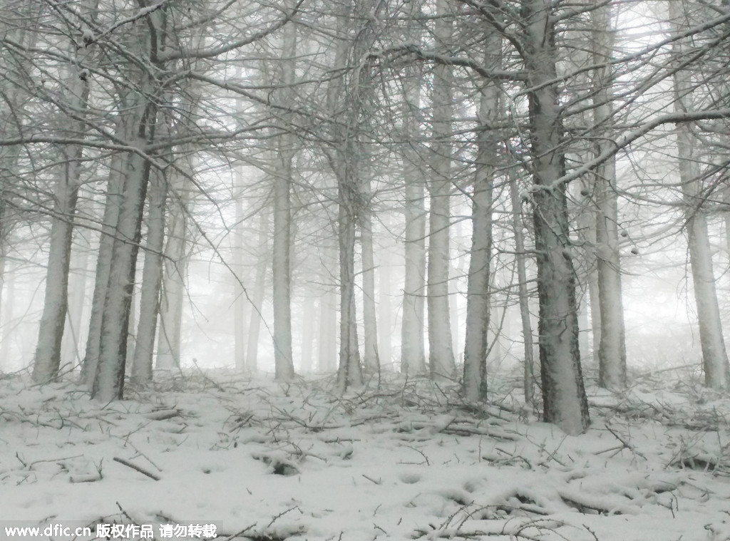 Snow lashes large swathe of China in early May