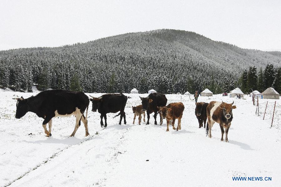 Snowfall hits Tianshan Mountain in Hami