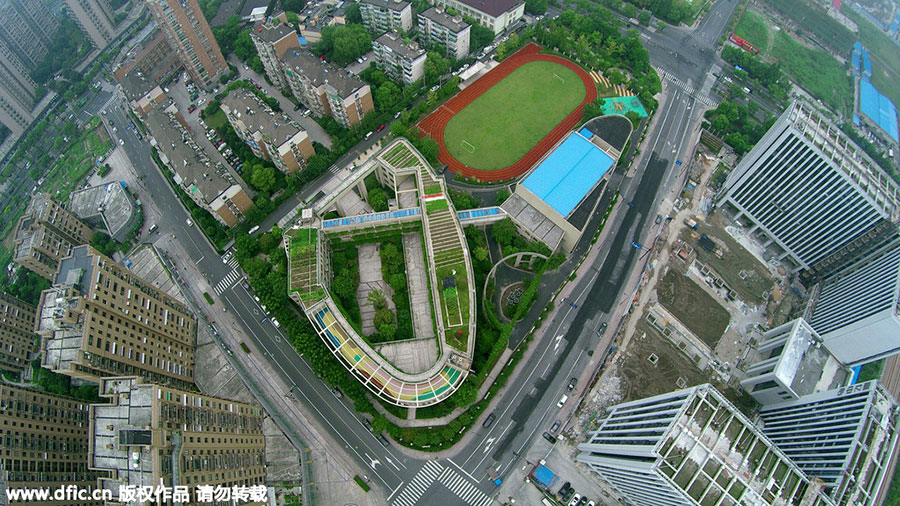 Elementary school builds rooftop garden