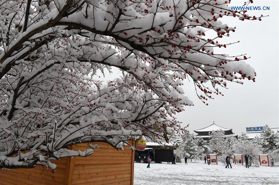 Heavy snowfall hits vast area of N China