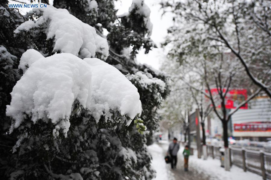 Snowstorms sweep across northern China