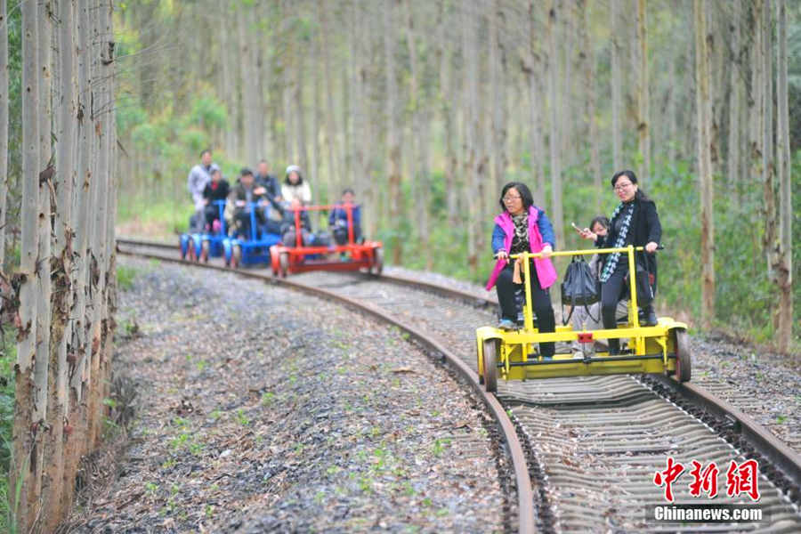 Fairy tale tunnel of love in South China