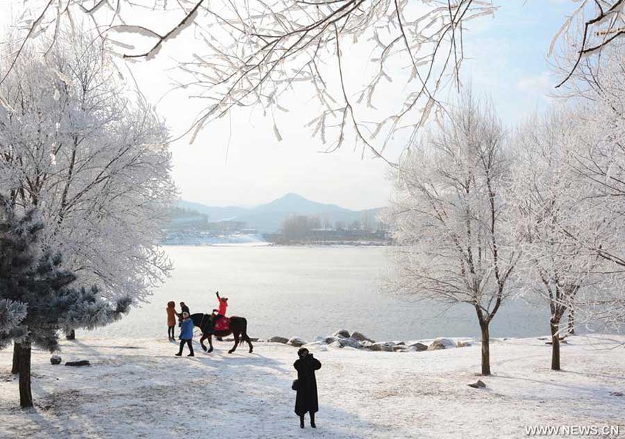 Rime scenery seen in NE China's Jilin