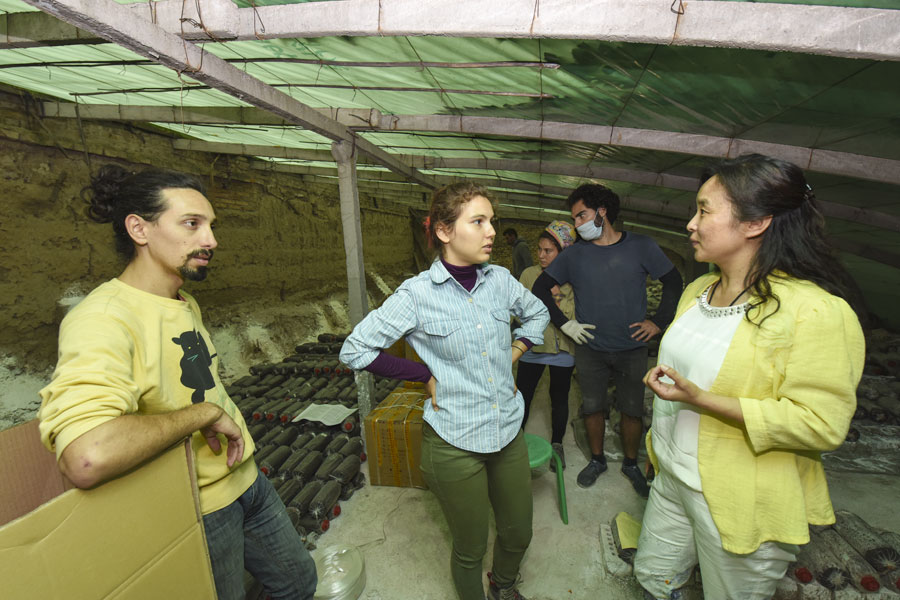 Foreigners learn mushroom cultivation skills in Xi'an