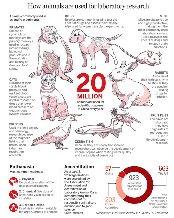 Experts mull introduction of tougher regulations on lab animal welfare