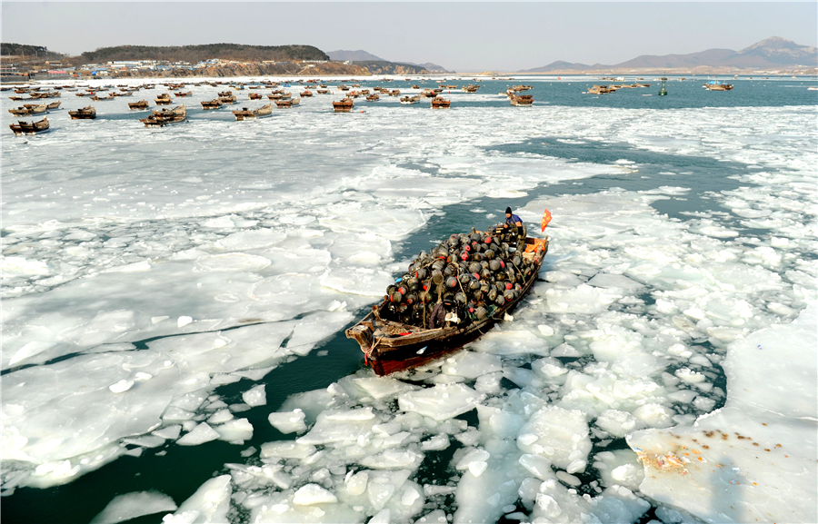 Those who brave the extreme cold