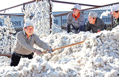 Xinjiang cotton at crossroads of new Silk Road