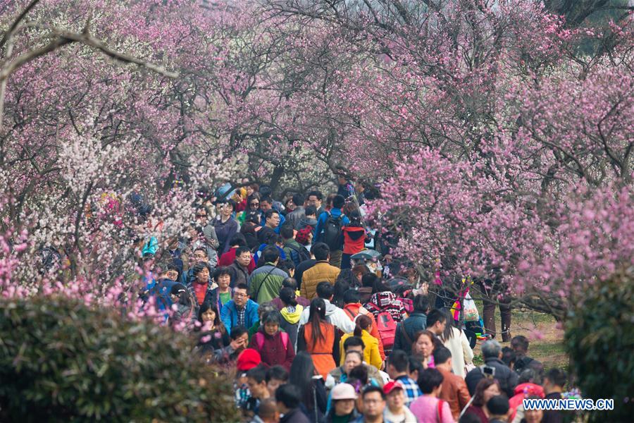 People view plum blossoms at scenic area in E China