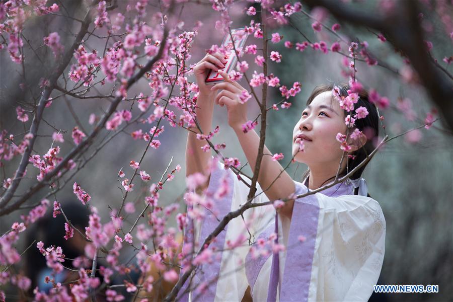 People view plum blossoms at scenic area in E China