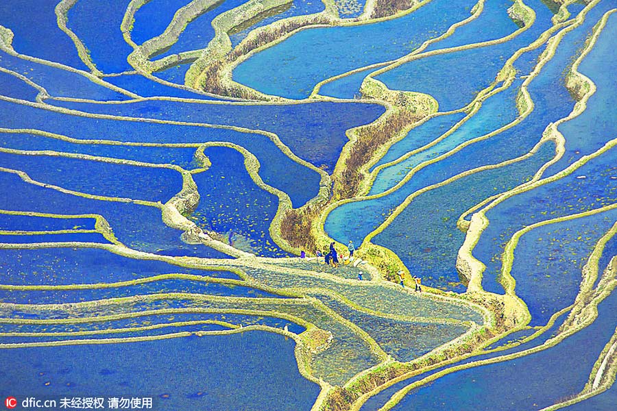 Discover beautiful China in spring blossom (IV)