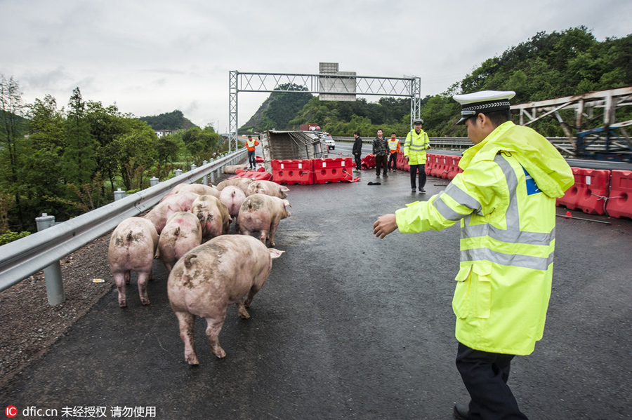 Ten photos from around China: April 17 - 24