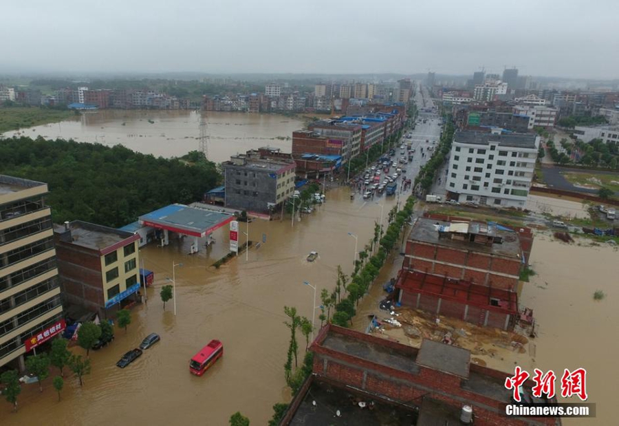 Residents net fish on flooded road in C China