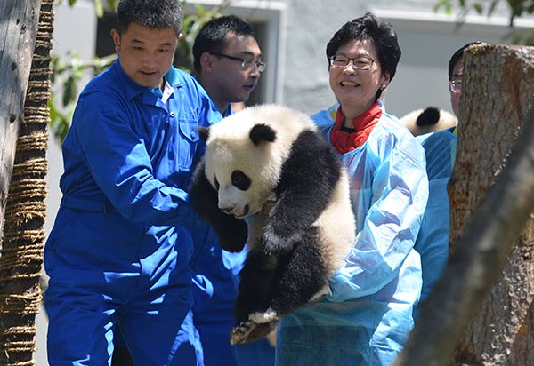 HK official lauds post-quake effort